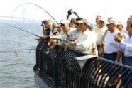 Mayor Bloomberg and his catch 