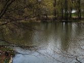 Central Park Lake Reflection 