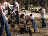 Hands on New York Day volunteers 