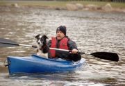 The dogs take to the water 