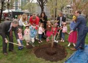 Planting a cherry tree adjacent to the George Washington monument 