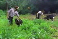 Richard Lynch and  Nancy Slowik and the Goats of GNPC