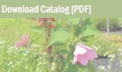 Download Catalog [PDF]