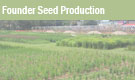 Founder Seed Production