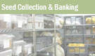 Seed Collection & Banking