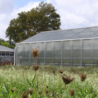 Picture of a GNPC Greenhouse