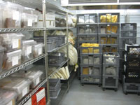 picture of the seed bank