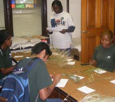 People around a tabel with seeds