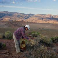 picture of seed collecting for the millennium seed bank