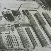 picture of mohlenhoff farm in 1958