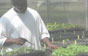 picture of person working in seed bank